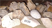 Agates, Quartz, Petrified Wood & Other Palm Size