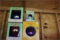 Colleciton of Gazing Balls in Box