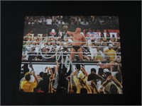 WWE GUNTHER SIGNED 8X10 PHOTO GAA COA