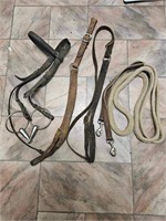 (Private) REINS - CRUPPERS & BRIDLE