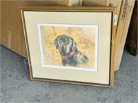 Ltd print 33/750 Black Labrador - signed