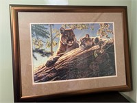 Cougars Picture 43 x 33