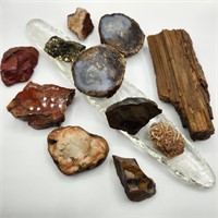 Glass Tray w/ Petrified Wood & Minerals