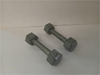 Two 5 lb hand weights