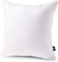 Phantoscope 18x18 Pillow Insert - Throw Pillow