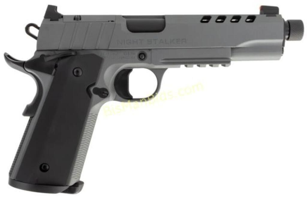 TISAS 1911 NIGHT STALKER 10MM 5" TB GREY