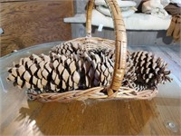 HUGE Pine Cones in Basket