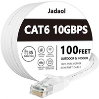 Cat 6 Ethernet Cable 100 ft, Outdoor&Indoor, 10Gbp