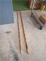 (2) Telescopic Fish Poles