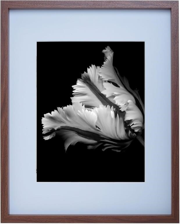 Mikasa Wood Gallery Wall Frame, 16x20 Matted To