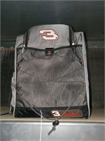 (3) Cooler Bags