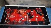 Calgary Flames hockey picture
