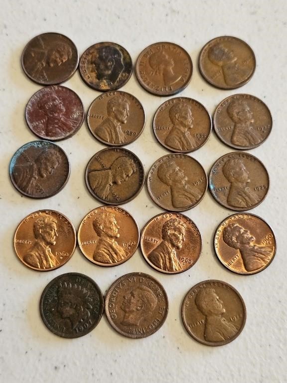 19-MIXED WHEAT & NON-WHEAT PENNIES ALL FOR 1 MONEY