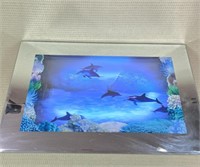 3D Motion Dolphin Picture