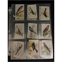 (42) Vintage Bird's Of America Cards