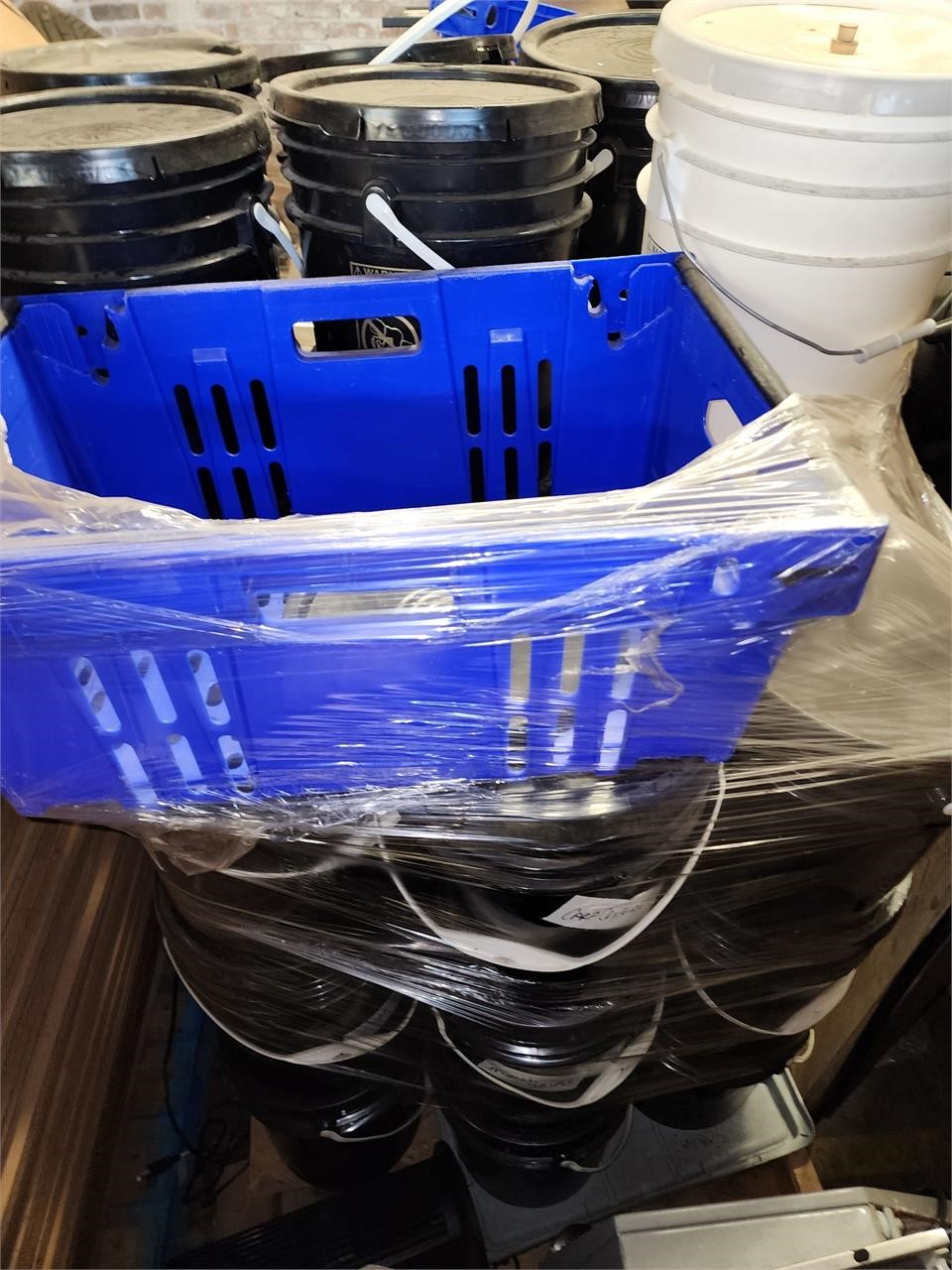 20 qty 5 gallon buckets of seed