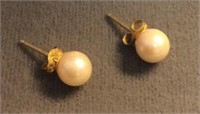 Pearl Studs