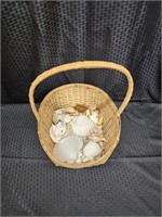 Shell Lot with Basket