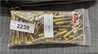 Bag of 223 ammo