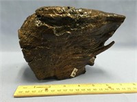 A half section of a mammoth tooth 8"     (g 22)
