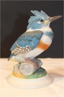 Boehm- Kingfisher