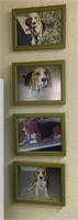 Four Framed Photos of a Beagle
