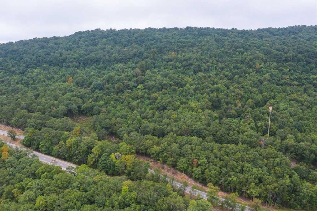 Wooded Land for Sale at Auction in Blacksburg VA