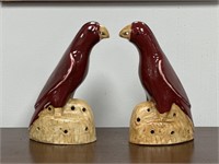 Chinese Oxblood Parrots