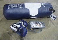 Punching Bag and Boxing Gloves-