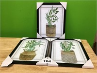 Framed Plant Picture lot of 3
