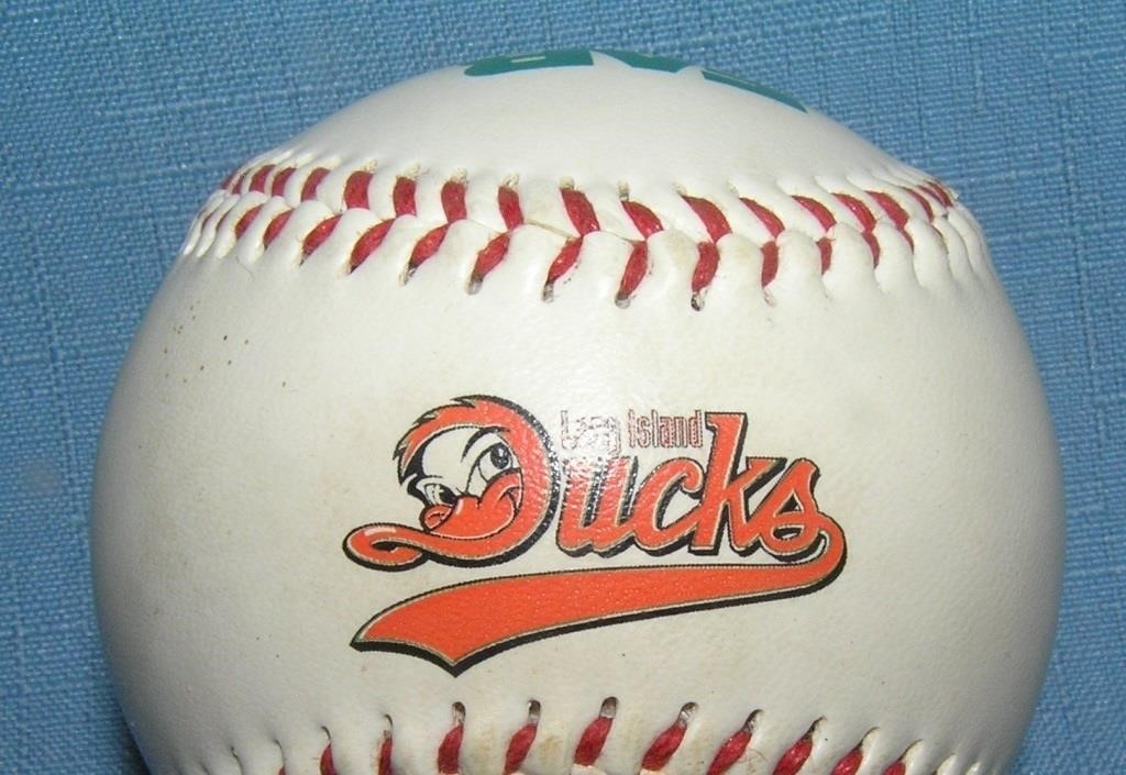 Long Island Ducks baseball team baseball