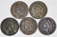 Lot of 5 Pre 1900 Indian Head Cents