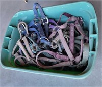 Tote of Foal/ Yearling/ Adult Nylon Halters