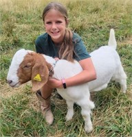 Isabelle Byrum - Goat