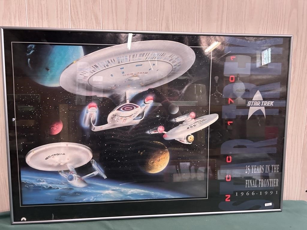 Framed 36x24 1991 Star Trek Poster- See Note