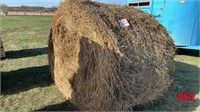OFFSITE: 50 Canola/Slough Straw Bales