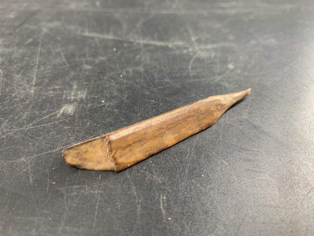 Base of a trifurcated ancient ivory harpoon tip 2