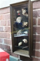 SHELLS IN SHADOW BOX FRAME