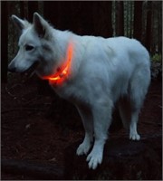 Coastal Adjustable 24" Light Up Dog Neck Ring