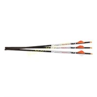 RAVIN LIGHTED ARROWS 500GR HD 3PK .001