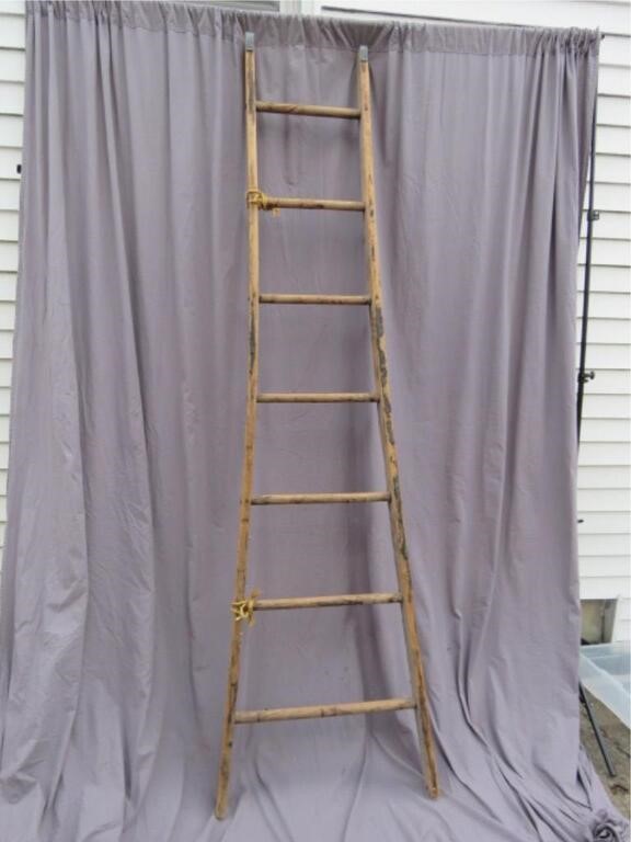 ORCHARD LADDER