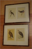 Two pairs of framed bird prints