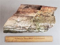 Petrified Wood