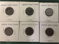6- Indian Head Cents