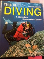 This is Diving By Duilio Marcante