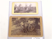 Bicycle Cabinet Cards