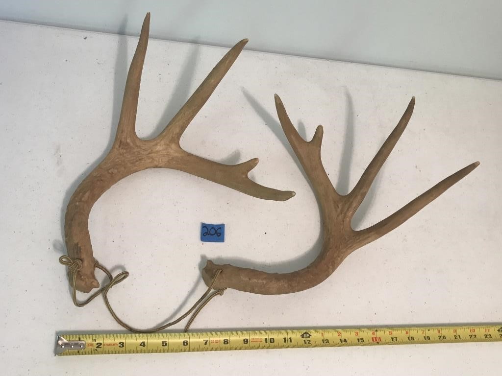Set of 2 Deer Antlers