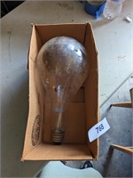 Extra Large Light Bulb