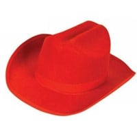 Child Size Country Cowboy Hat