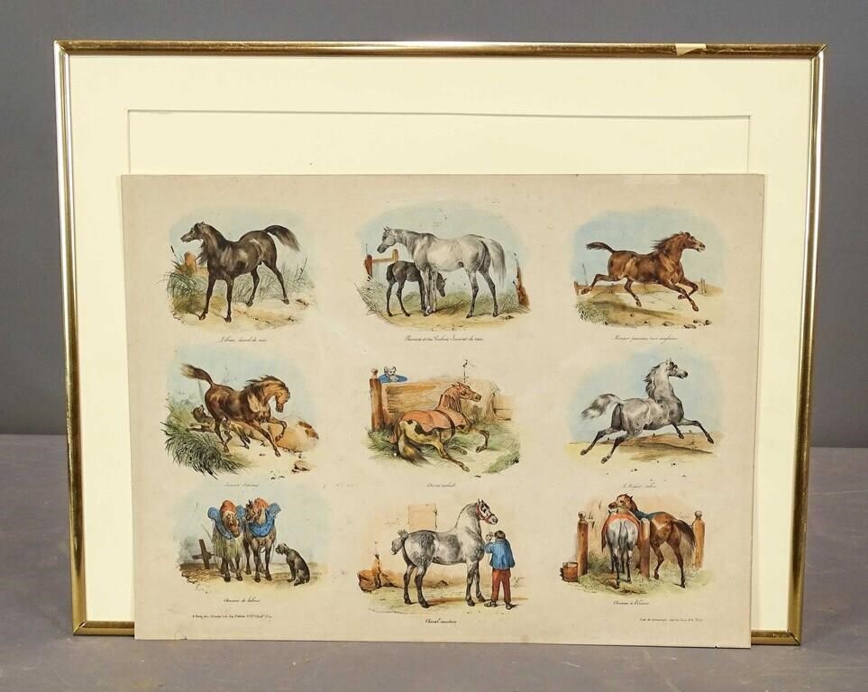 19th c. French Equestrian Print